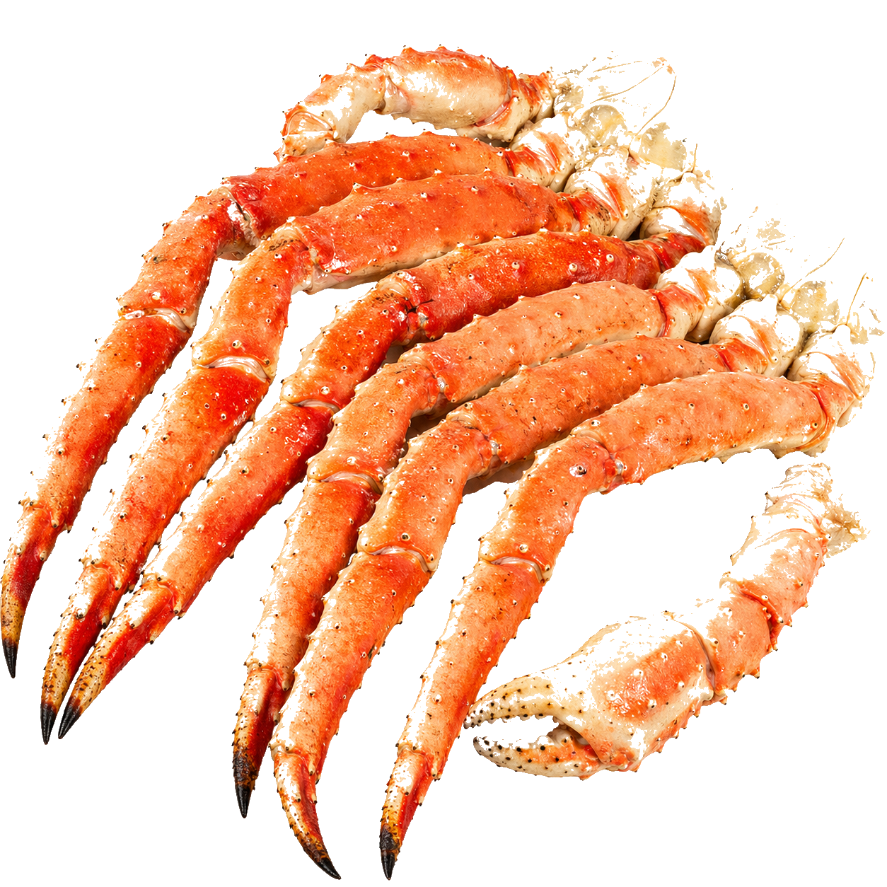 Клешни краба размер M