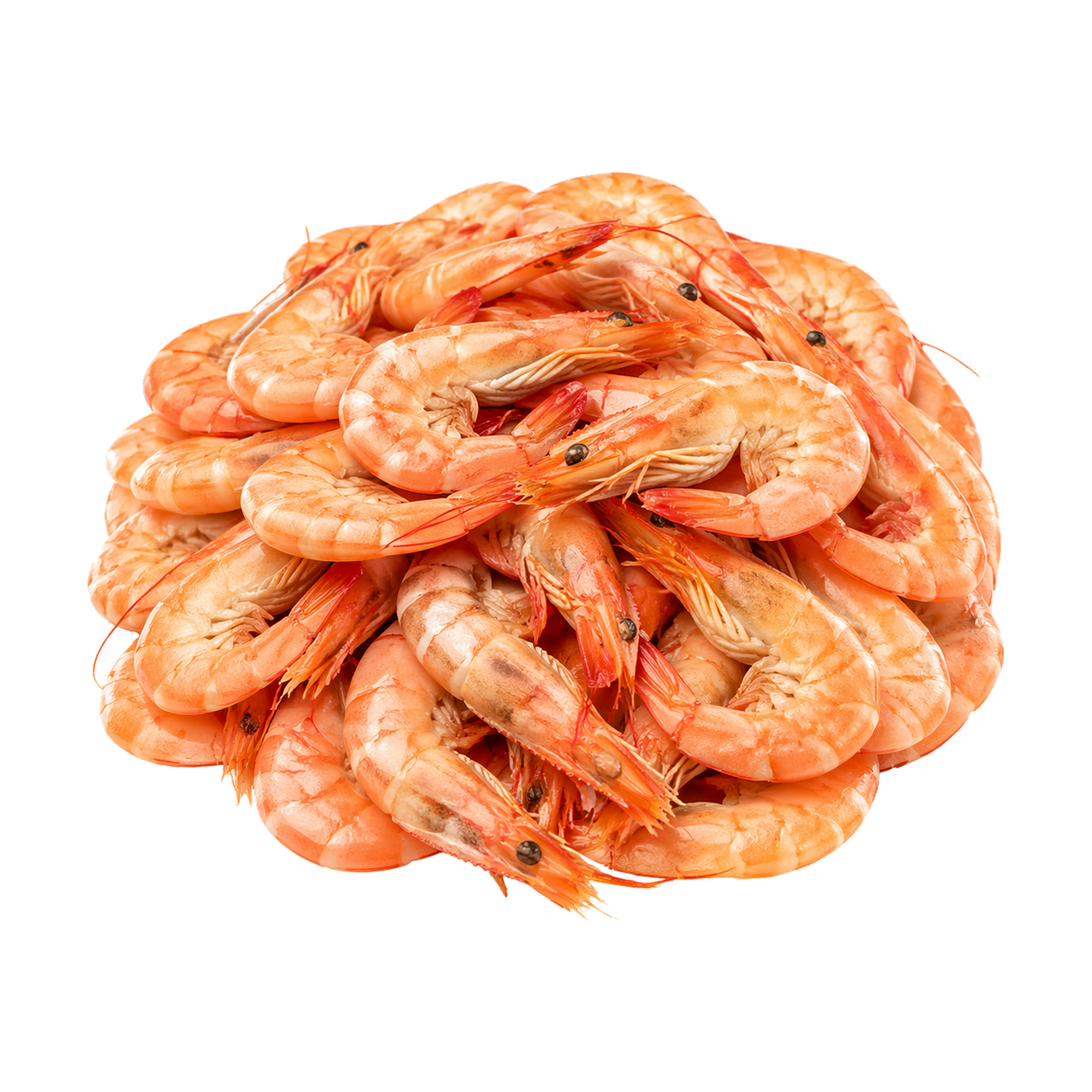 Промысловый флот